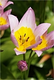IMGP2322