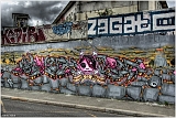 IMGP2916