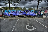 IMGP3063