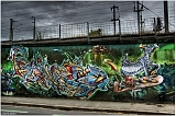 IMGP4017
