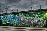 IMGP4020