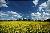 Paysages