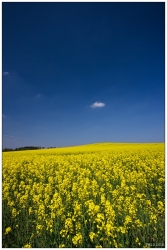 Paysage