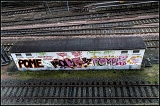 IMGP1845