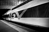 IMGP3109