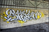 IMGP4639