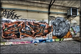 IMGP4660
