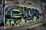 IMGP4675