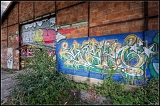 IMGP4693