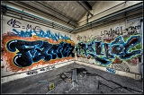 IMGP4729