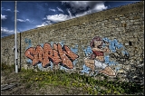 IMGP4741