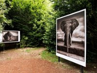 DSC 2305 r1 raw LR : La Gacilly, expo-photos