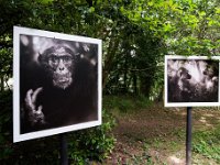 DSC 2307 r1 raw LR : La Gacilly, expo-photos