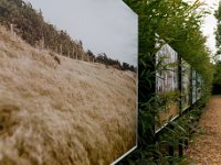 DSC 2323 r1 raw LR : La Gacilly, expo-photos