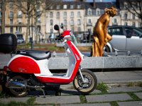 DSC 1738 r1 raw LR : Rennes, statues