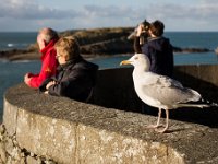 DSC 0692 r1 raw LR : St Malo, mer