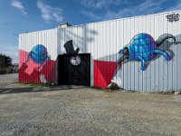 DSC 1636 r1 raw LR : Rennes, villejean