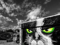 IMGP0481 2 3 nb1 raw LR : Rennes